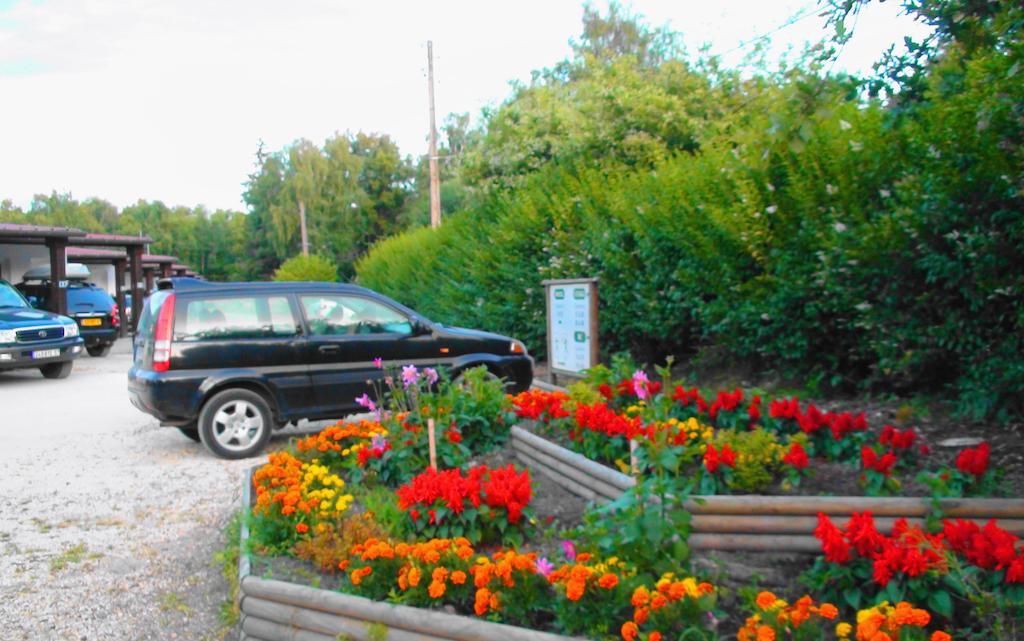 Motel Des Bruyeres Lamotte-Beuvron Zimmer foto